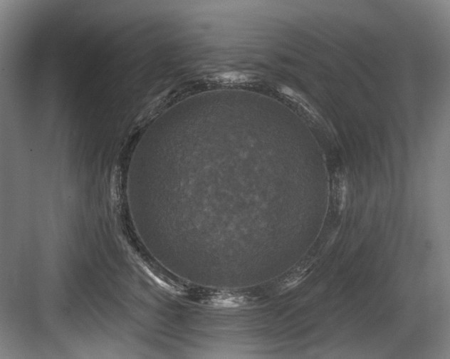 X0000083990760200702161132