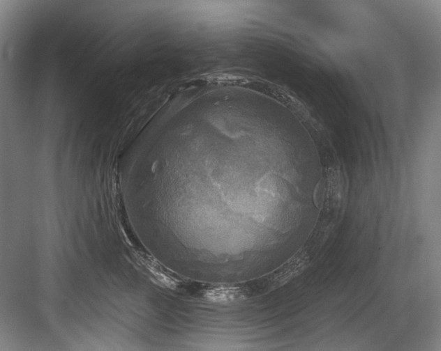 X0000083990761200702161132
