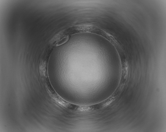 X0000083990767200702161132