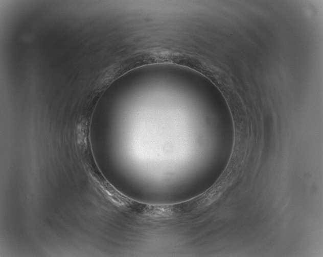 X0000083990768200702161132