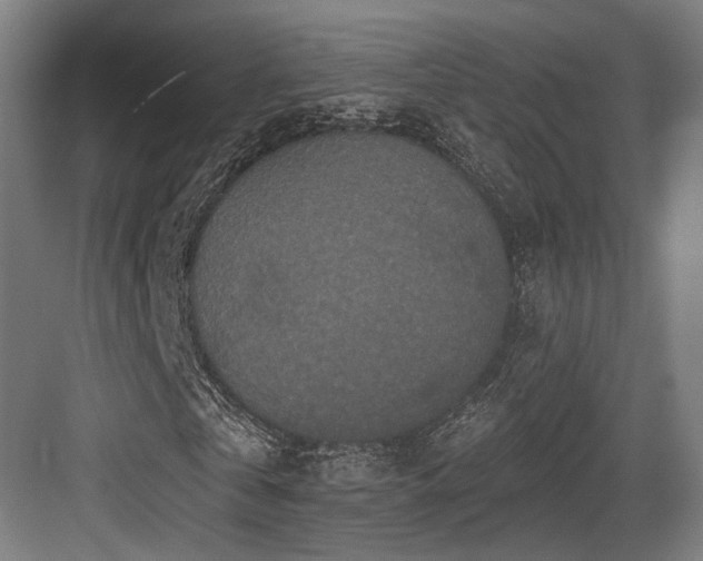X0000083990769200702161131
