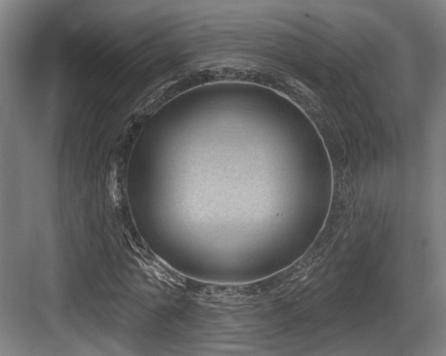 X0000083990774200702161131