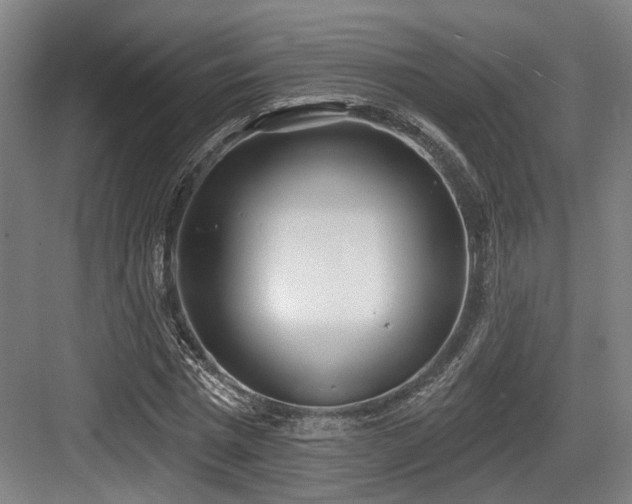 X0000083990777200702161131