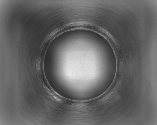 X0000083990778200702161131
