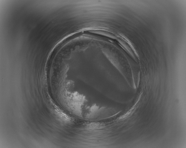 X0000083990779200702161131