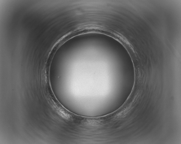 X0000083990782200702161131