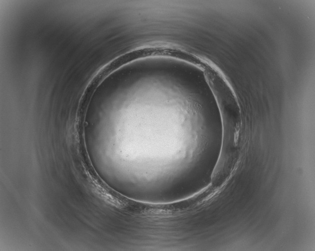 X0000083990783200702161131