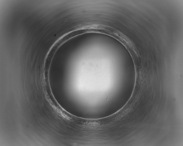X0000083990784200702161131