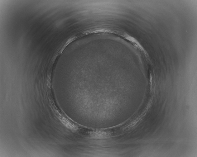 X0000083990785200702161131