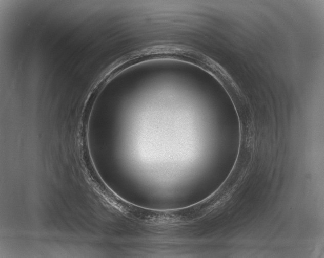 X0000083990786200702161131