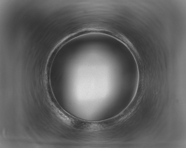 X0000083990787200702161131