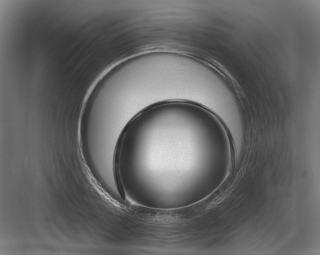 X0000083990788200702161131