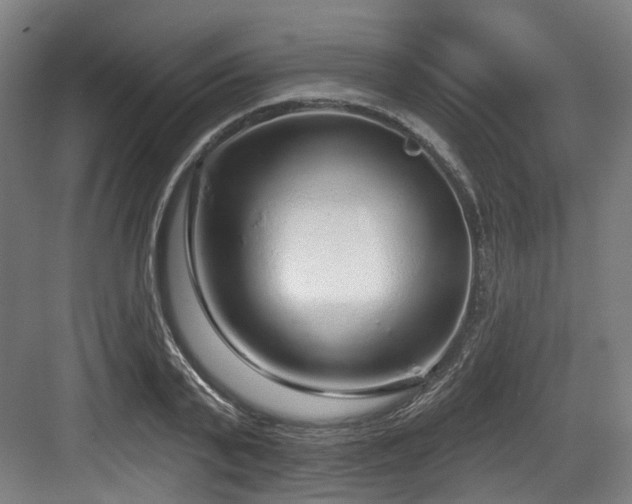 X0000083990791200702161131