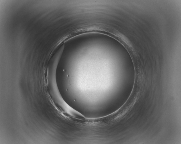 X0000083990793200702161131