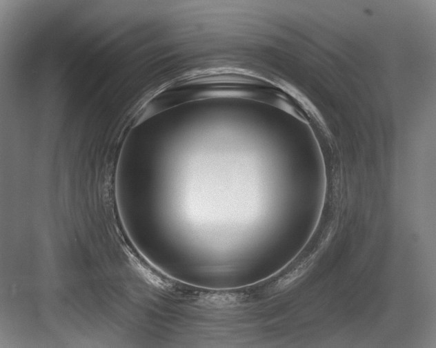 X0000083990801200702161131