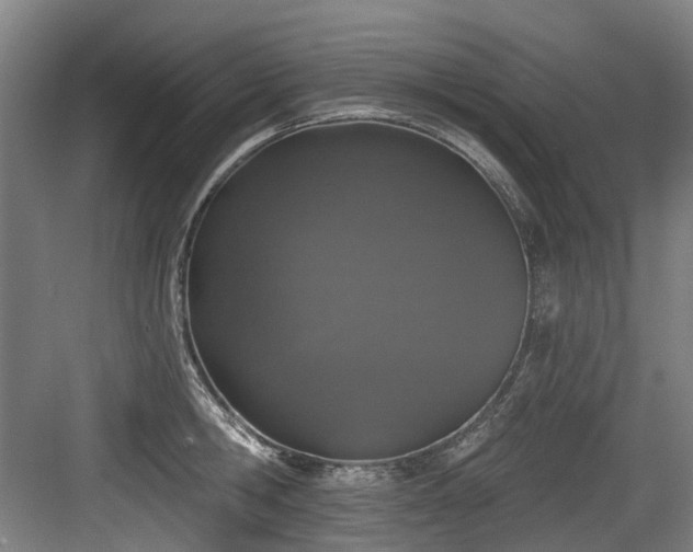 X0000083990806200702161131
