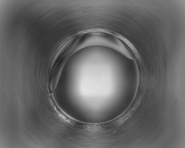 X0000083990809200702161131