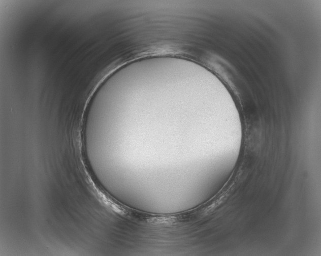 X0000083990810200702161131
