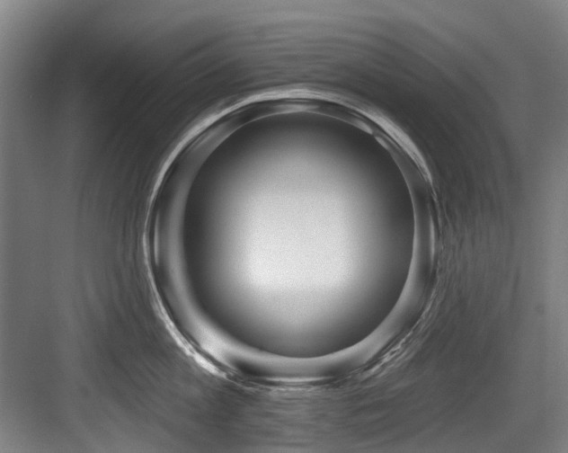 X0000083990813200702161131