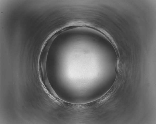 X0000083990815200702161131