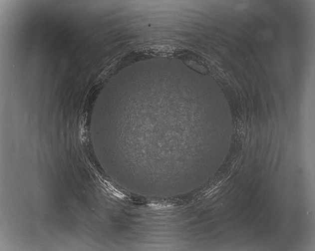 X0000083990818200702161130