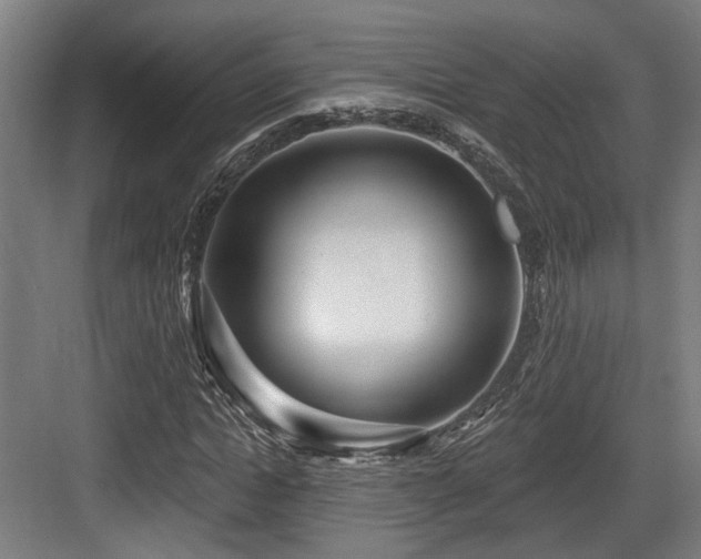 X0000083990822200702161130