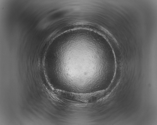 X0000083990825200702161130