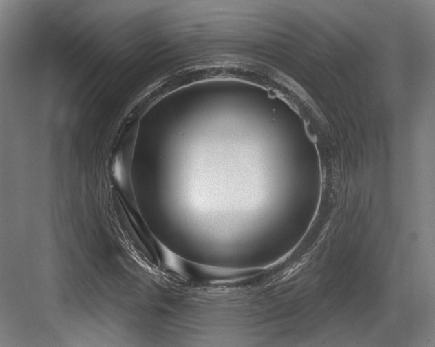 X0000083990826200702161130