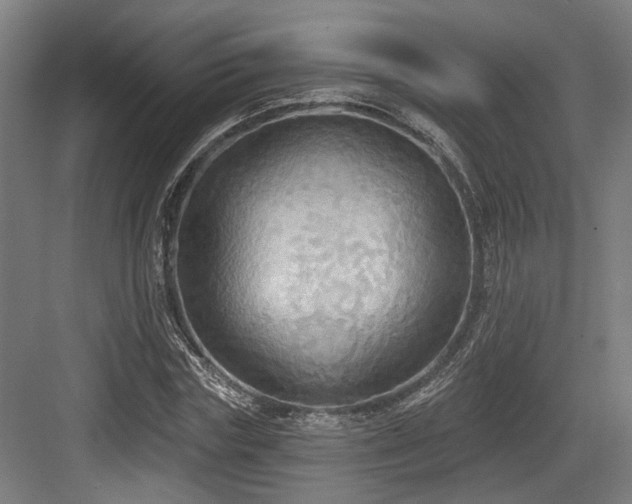 X0000083990827200702161130
