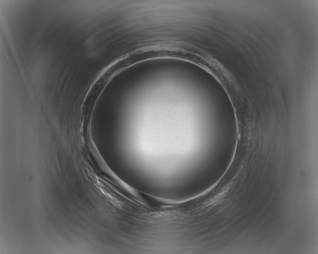 X0000083990830200702161130
