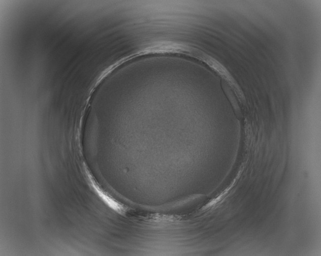 X0000083990842200702161130