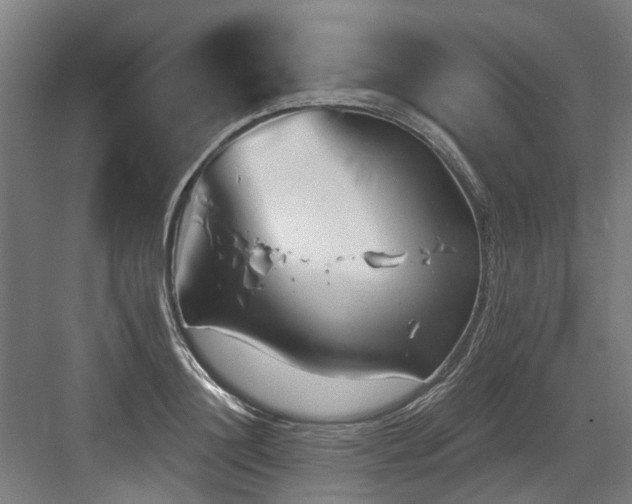X0000083990844200702161130