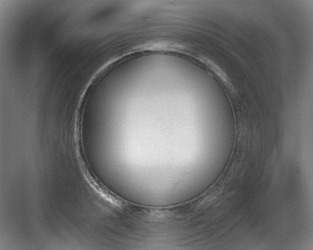 X0000083990848200702161130