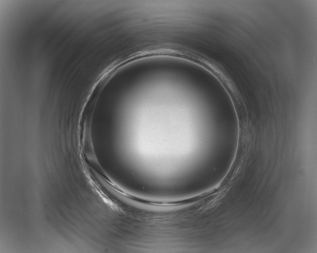 X0000083990858200702161131