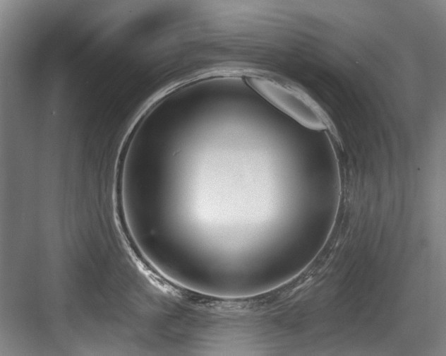 X0000083990861200702161131