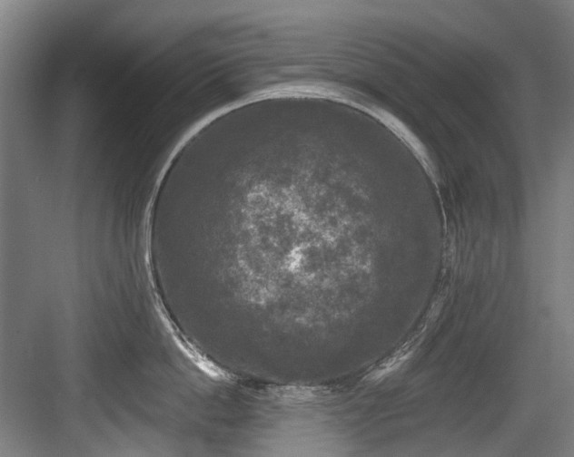 X0000083990862200702161131