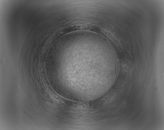 X0000083990865200702161130