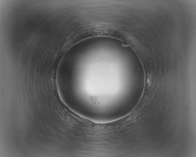 X0000083990867200702161130
