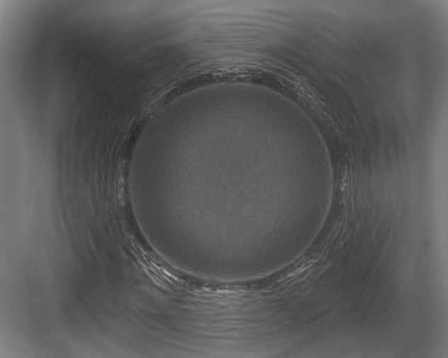 X0000083990868200702161130