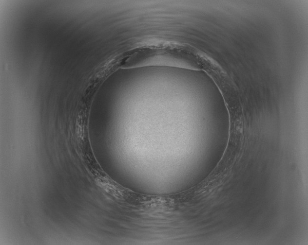 X0000083990869200702161130