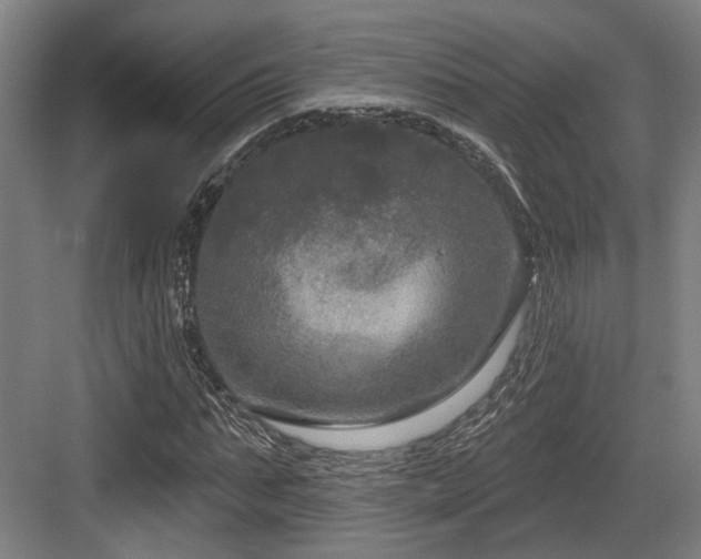 X0000083990871200702161130