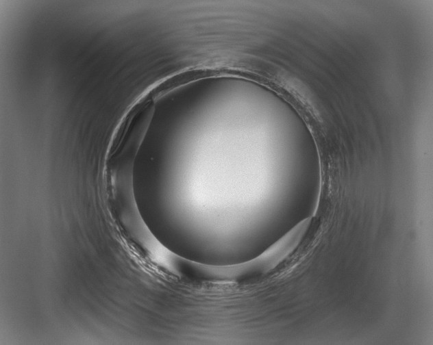 X0000083990876200702161130
