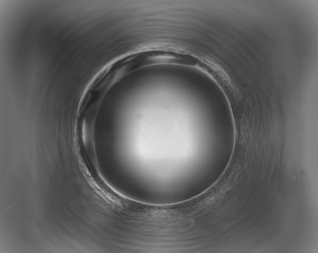 X0000083990880200702161130