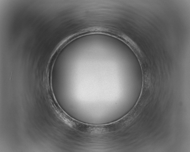 X0000083990886200702161129