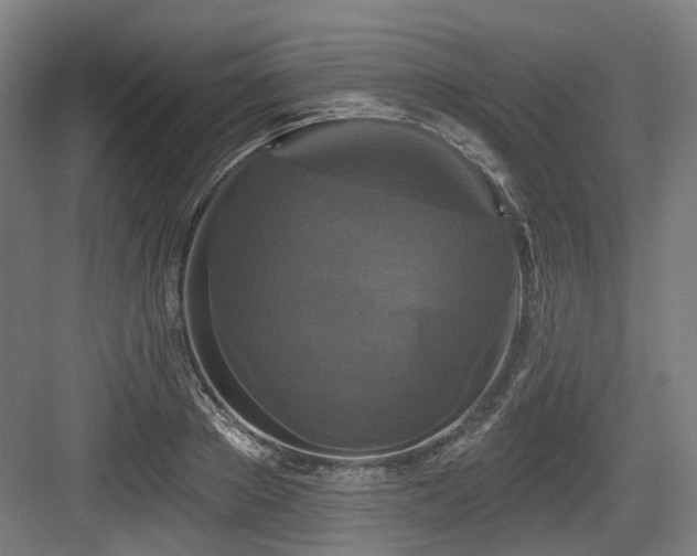 X0000083990889200702161129