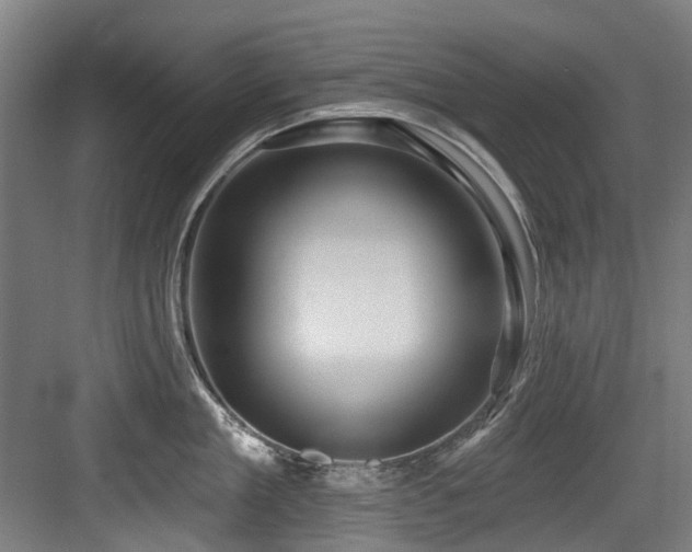 X0000083990909200702161129