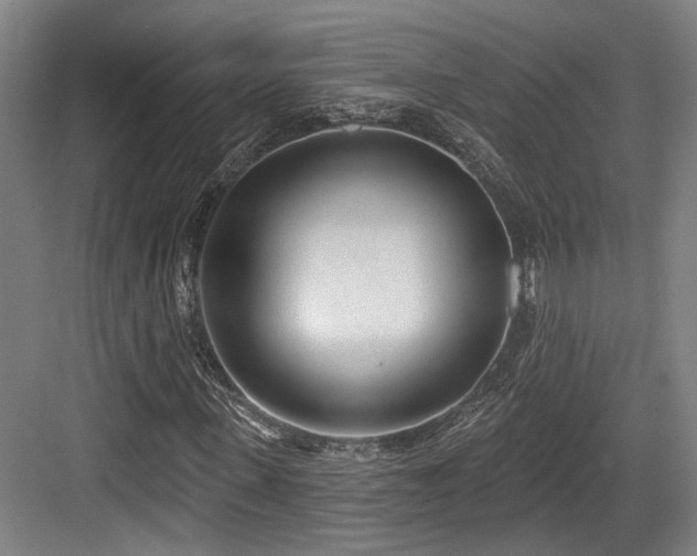 X0000083990915200702161128