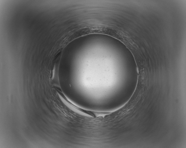 X0000083990916200702161128