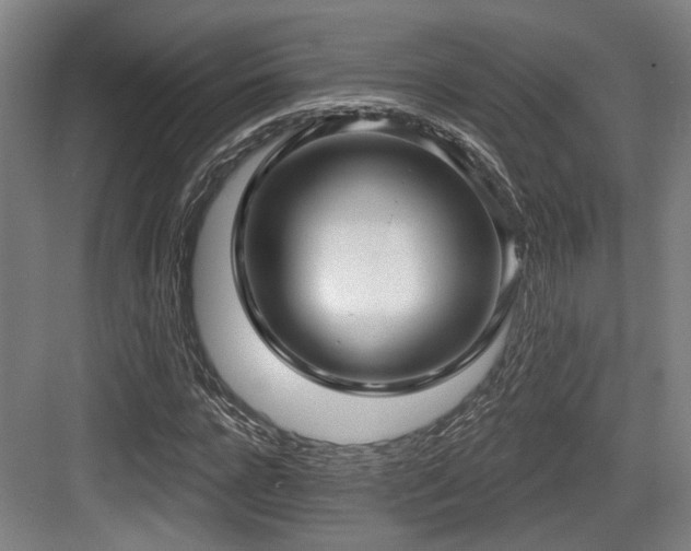 X0000083990920200702161128
