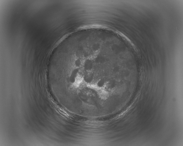 X0000083990921200702161128